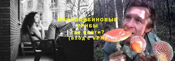 дживик Гусиноозёрск