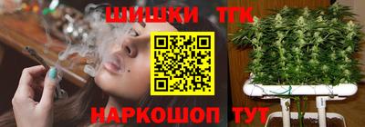 прущие грибы Новодвинск