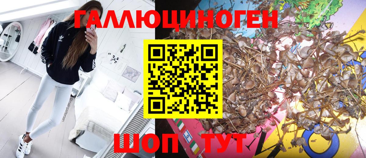 Псилоцибиновые грибы мухоморы  Псилоцибиновые грибы Magic Shrooms  Южноуральск  Вход с VPN 
